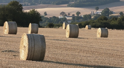Progetto "AD ALTIORA" - Bando di gara