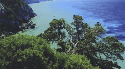 Presentazione libro: Le Zone Franche - Mito, preconcetti, opportunit&agrave;. Il Caso Sardegna.