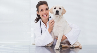 Campagna di sensibilizzazione all'obbligo del microchip e dell'iscrizione all'anagrafe canina regionale