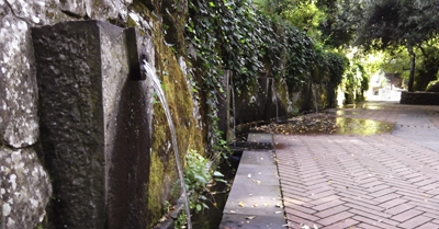 Escursione a Santu Lussurgiu, Parco di San Leonardo di Siete Fuentes